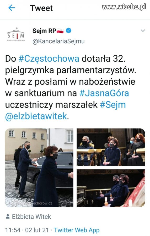Pielgrzymka PiSuaru