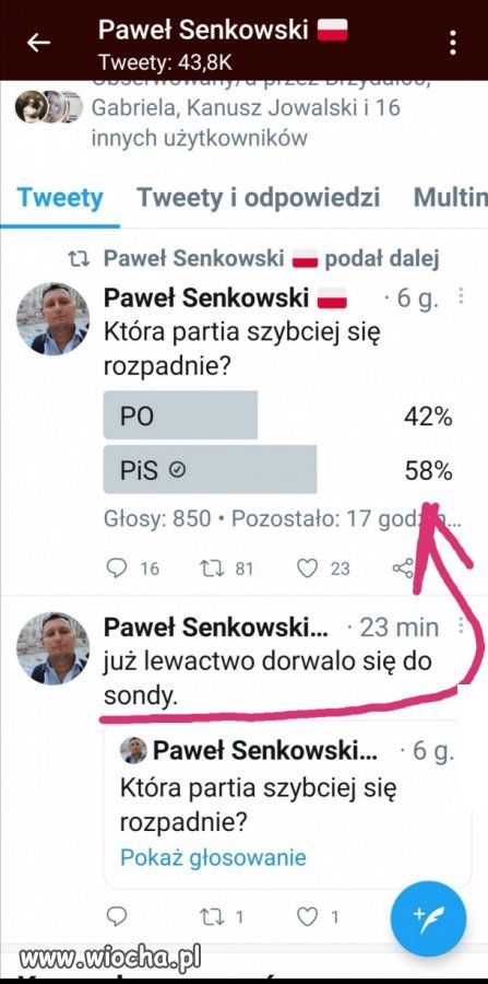 Ankieta.