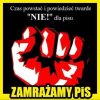 Najwyższy czas ...