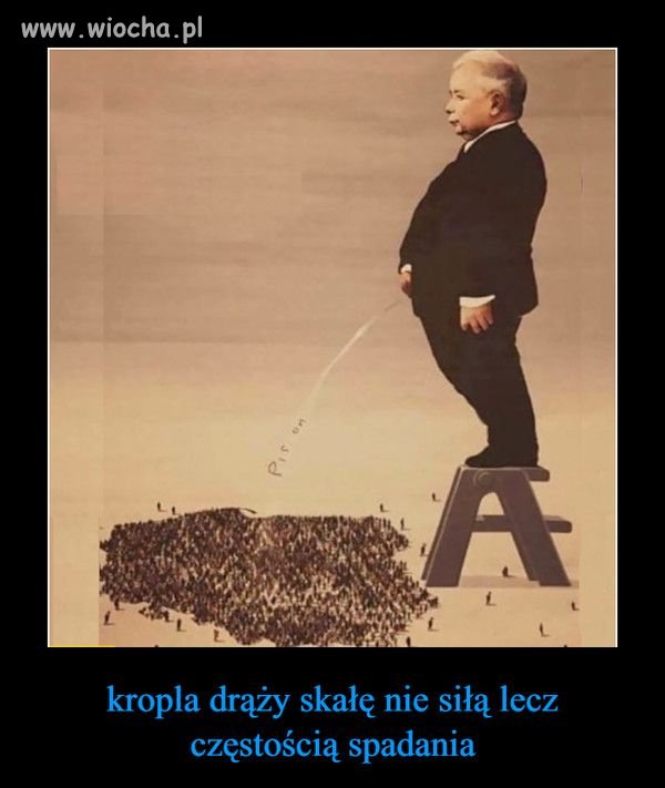 Leje na wszystkich równo
