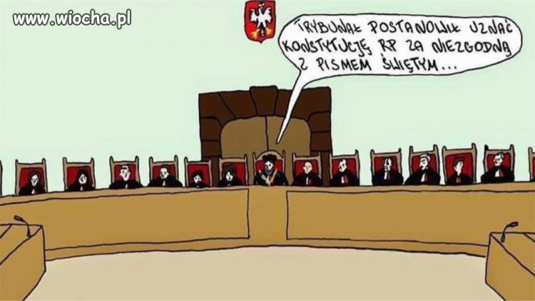 Co tam, panie w Trybunałach