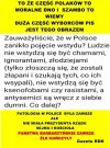 To oni wybrali tą władze, która teraz rządzi...