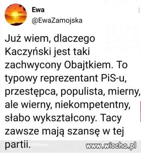 Kryteria kariery w PiS: przestępca, populista, 