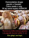 Pączek od pączka 