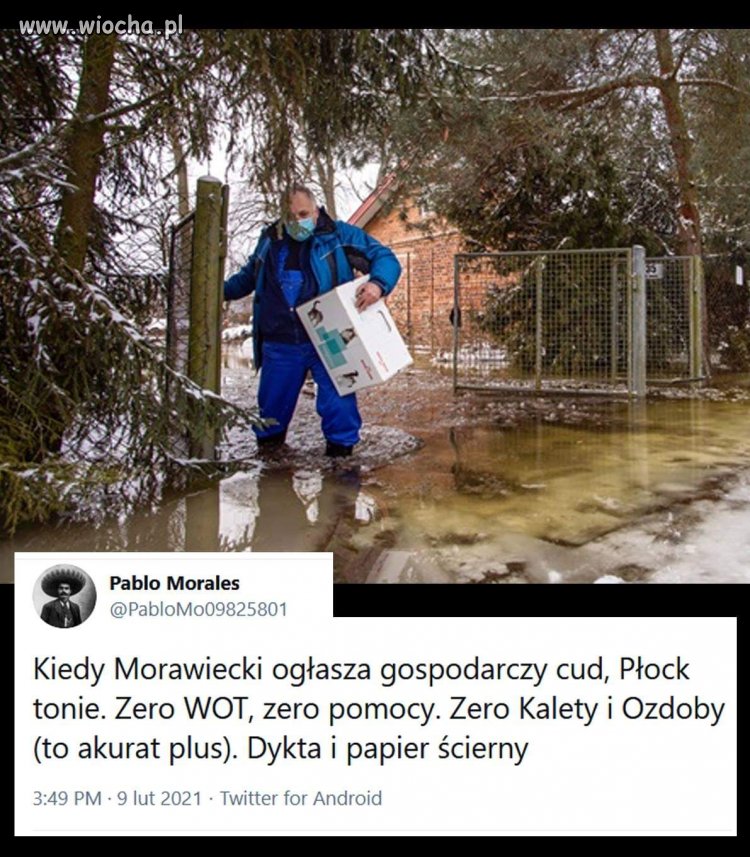 Bez tytułu. 