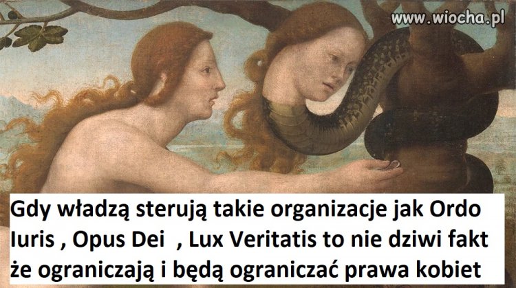 Nie wiadomo ile ich jest