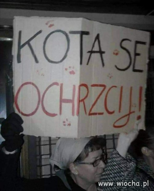 Tytuł zbędny