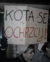 Tytuł zbędny