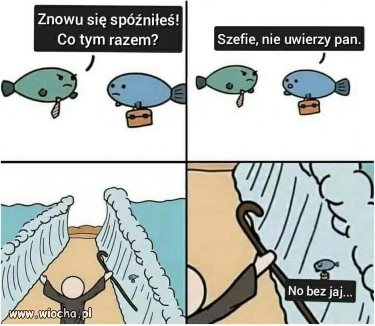 Szefie, tak było, nie zmyślam