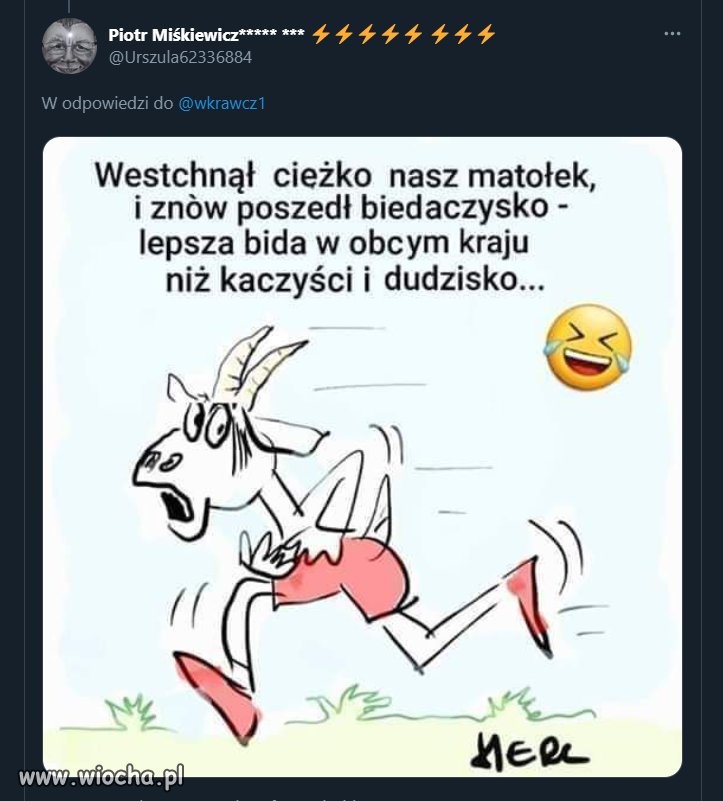 To już nawet nie jest śmieszne   