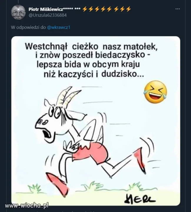 To już nawet nie jest śmieszne   