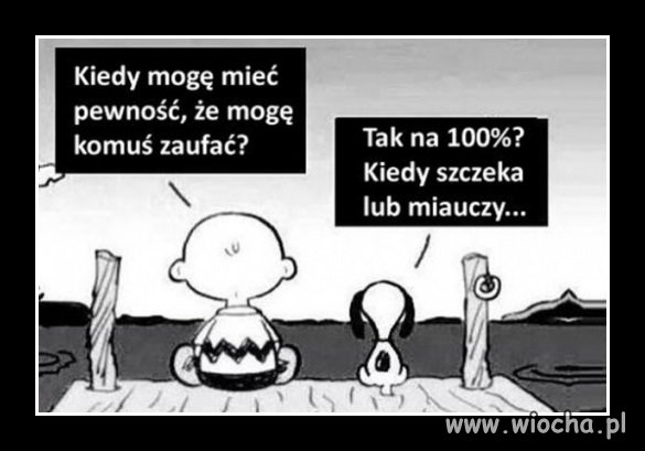 Na kogo możesz liczyć ?