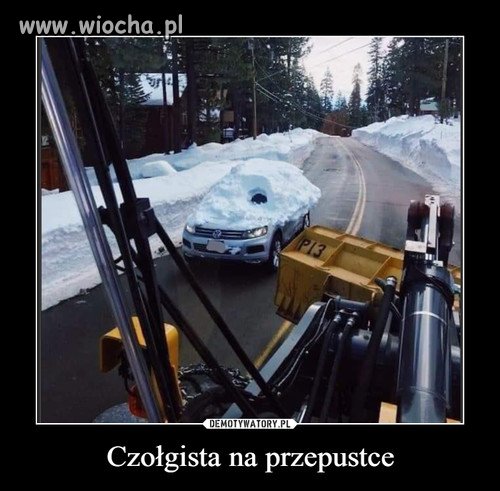 Czołgista na przepustce 
