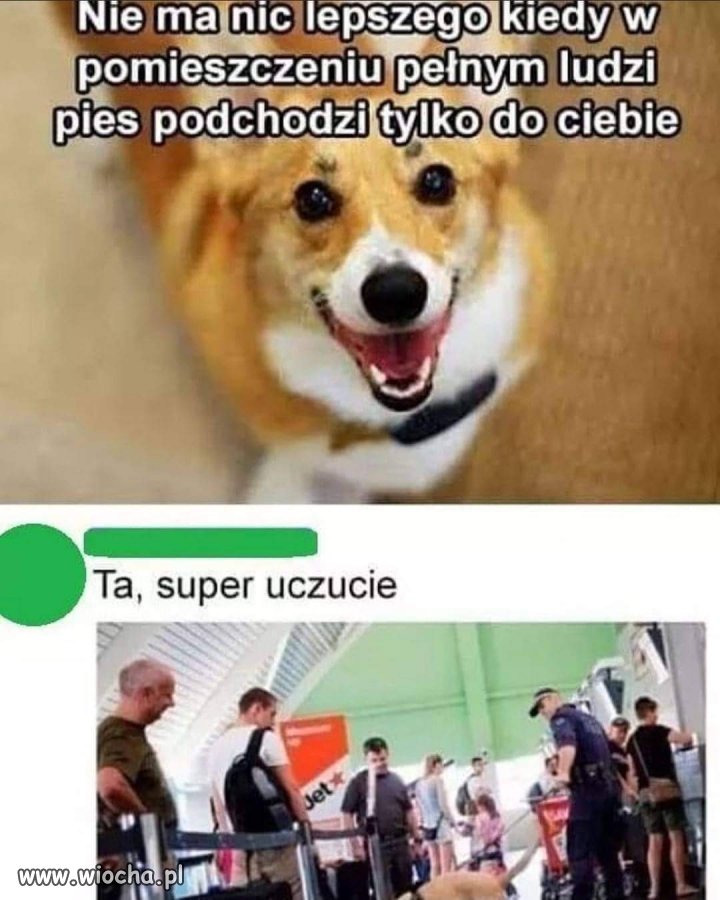 Super uczucie. 