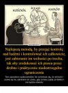 W państwie totalitarnym Wolność Nie będzie nam odebrana Nagle