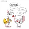 To Pinki jest i Mózg