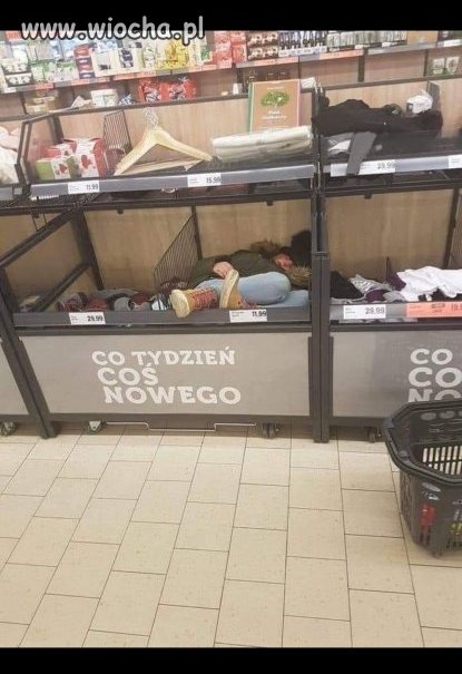 Lidl ma ciekawe oferty