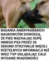 TVP najlepsza na świecie 