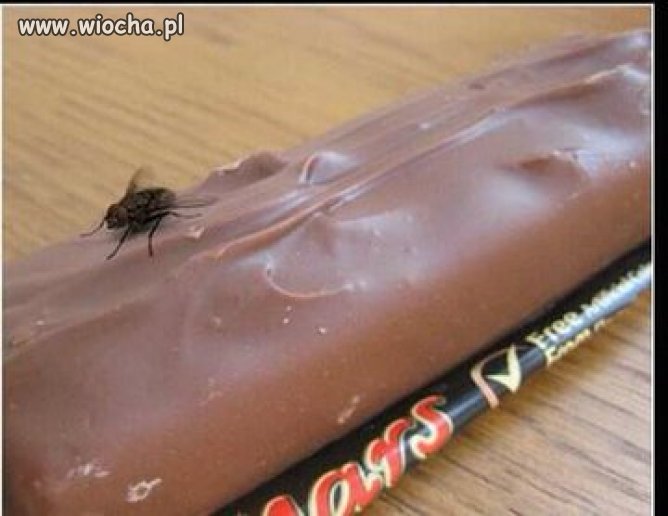 Jednak życie na Marsie jest możliwe!!!