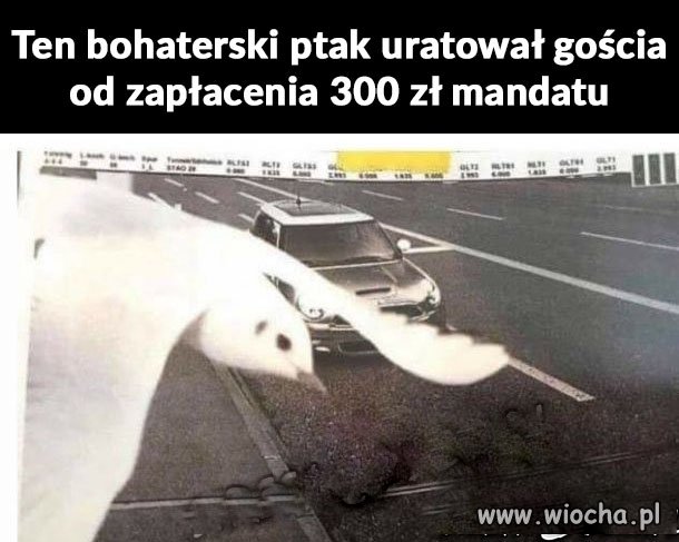 Farciarz  