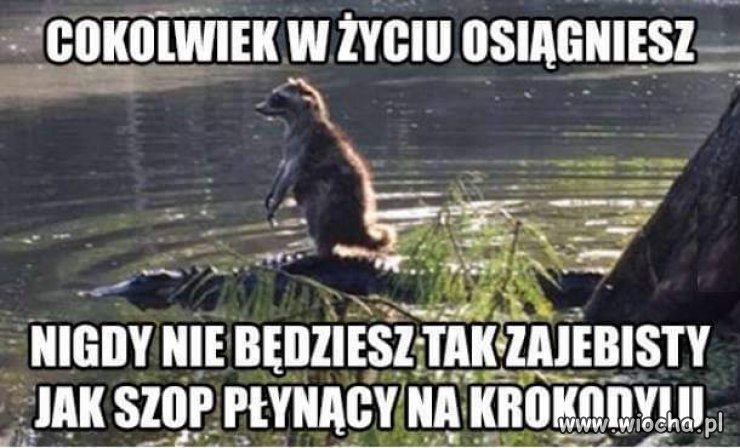 Kozak 