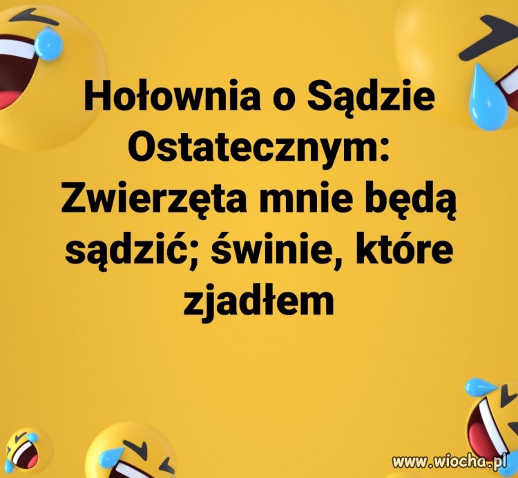 Heheszki