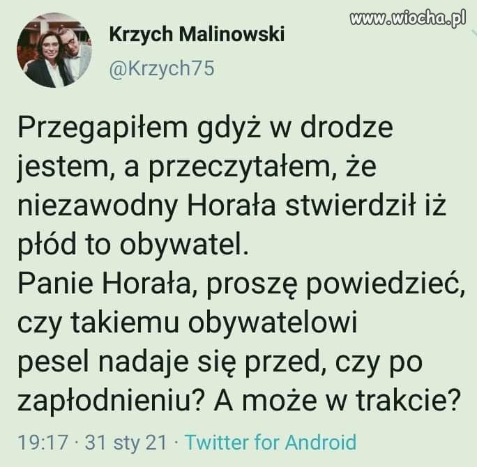Rządowa 