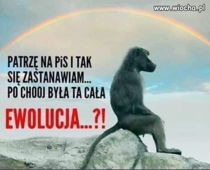 Taka sytuacja   