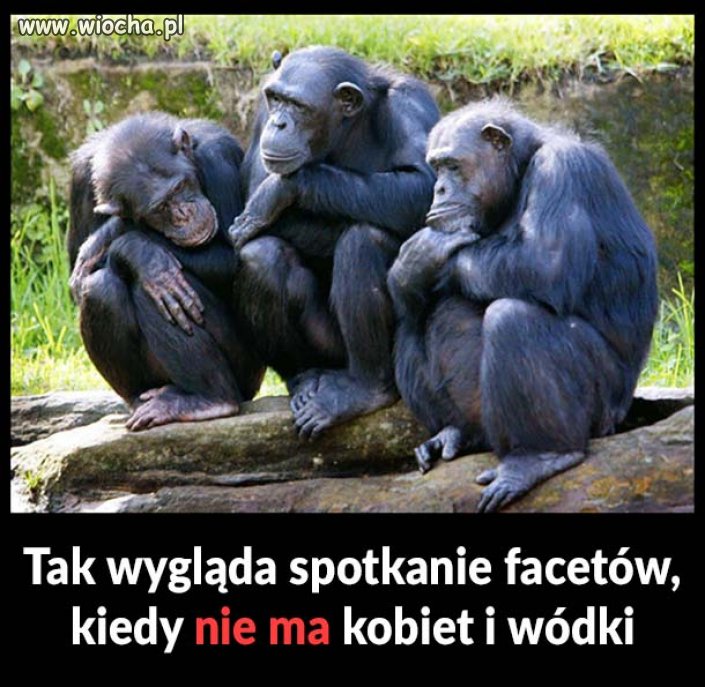 Ani jednego programu który cię interesuje 