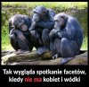Ani jednego programu który cię interesuje 
