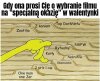 Wideoteka