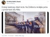 Dzień kota. 
