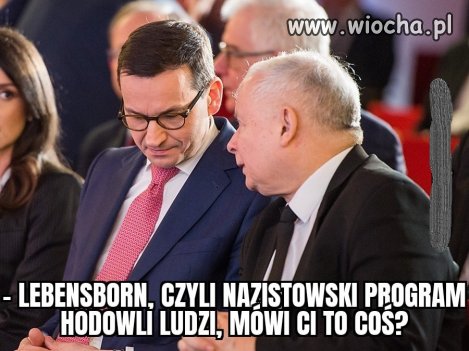 Głowa pełna marzeń.