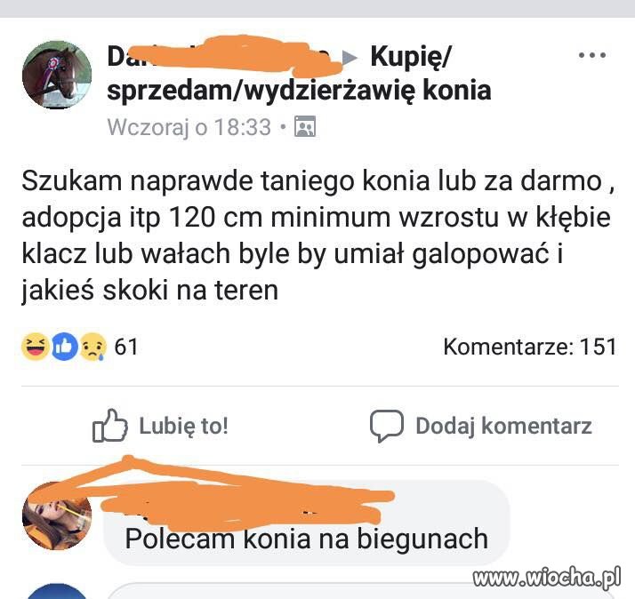Kupię/sprzedam ...