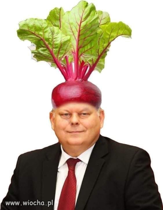 Wiosna idzie...