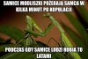 Ale to szczera prawda 