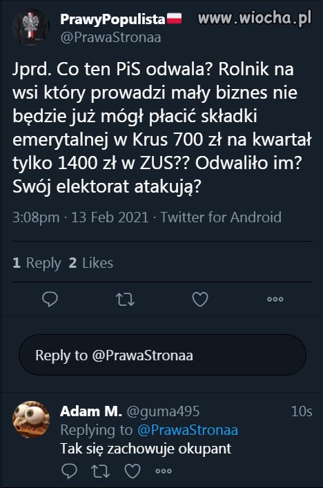 Owce beczą