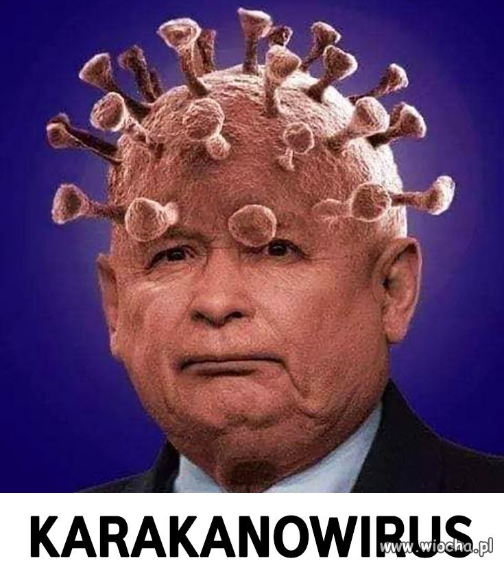 Covid 19 już nie jest straszny