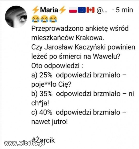 Ankieta.