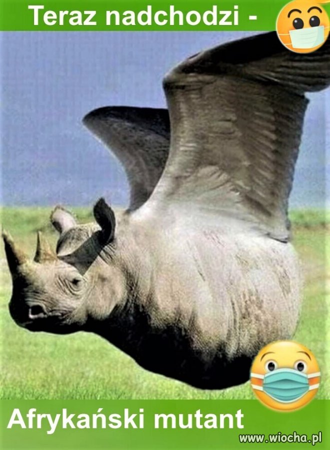 Mutant Korony nadchodzi...