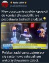 PiSowskie gangi pedofilskie