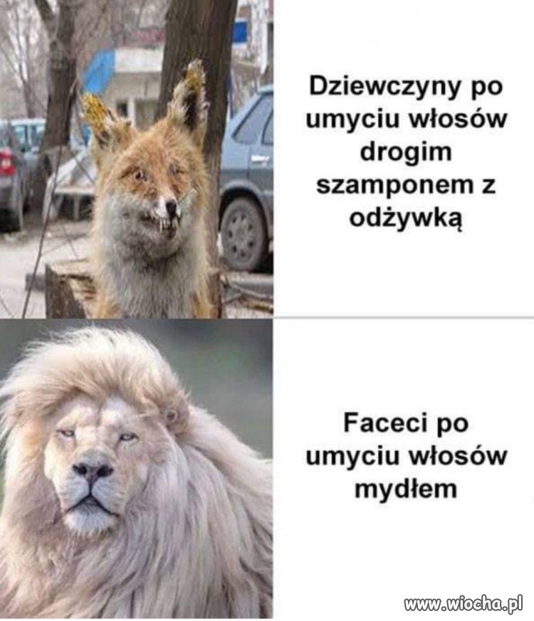 Tak było... naprawdę 