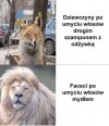 Tak było... naprawdę 