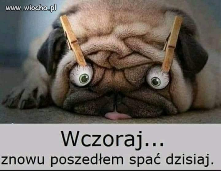 Po imprezie 
