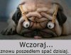 Po imprezie 