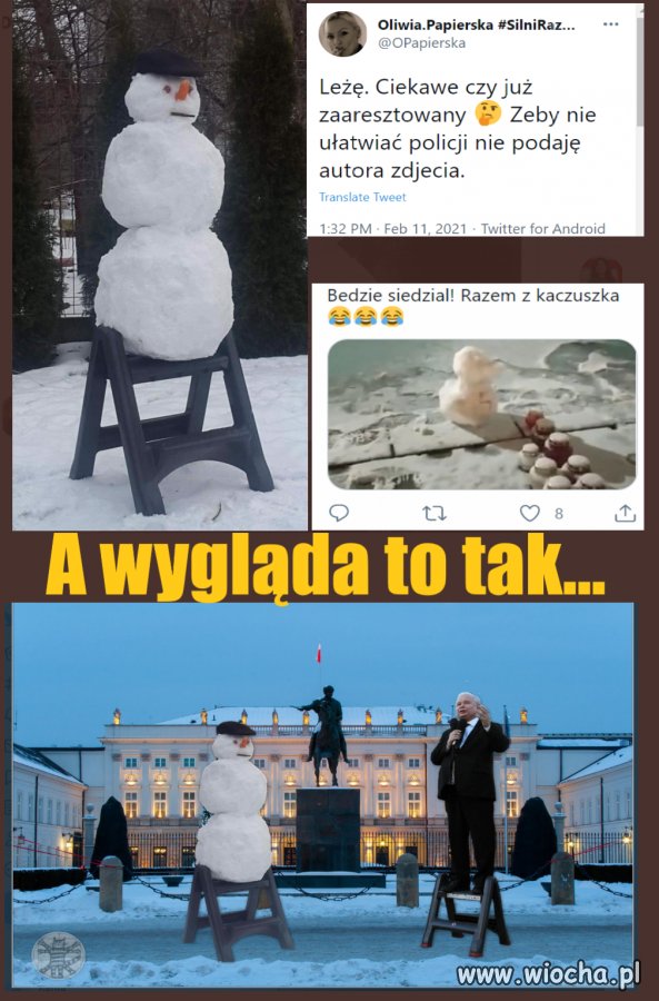 Znieważenie zarodków sniegu