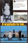 Znieważenie zarodków sniegu
