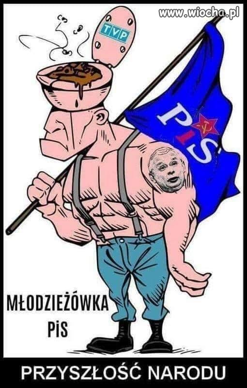 Typowy zwolennik