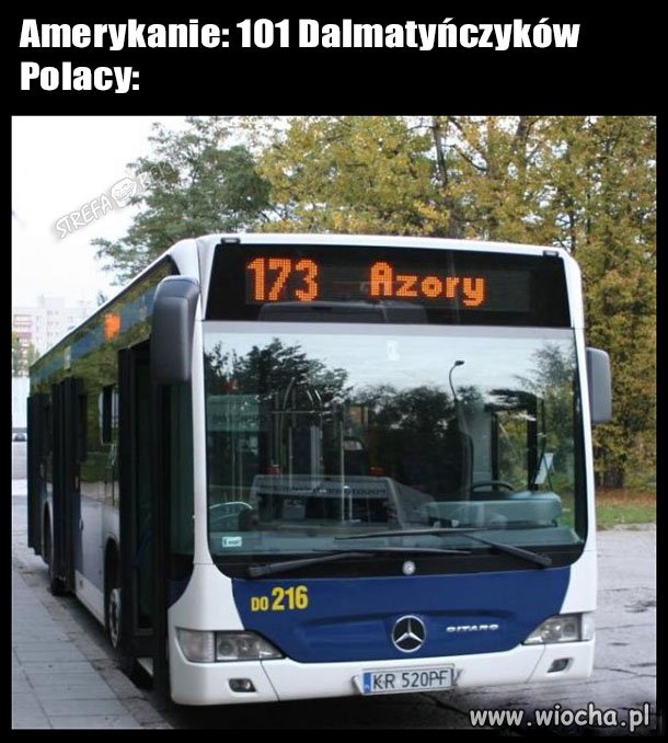 My też mamy swoje pieski