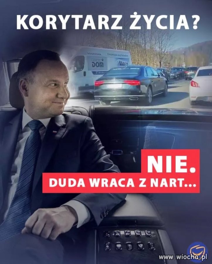 Bez komentarza 